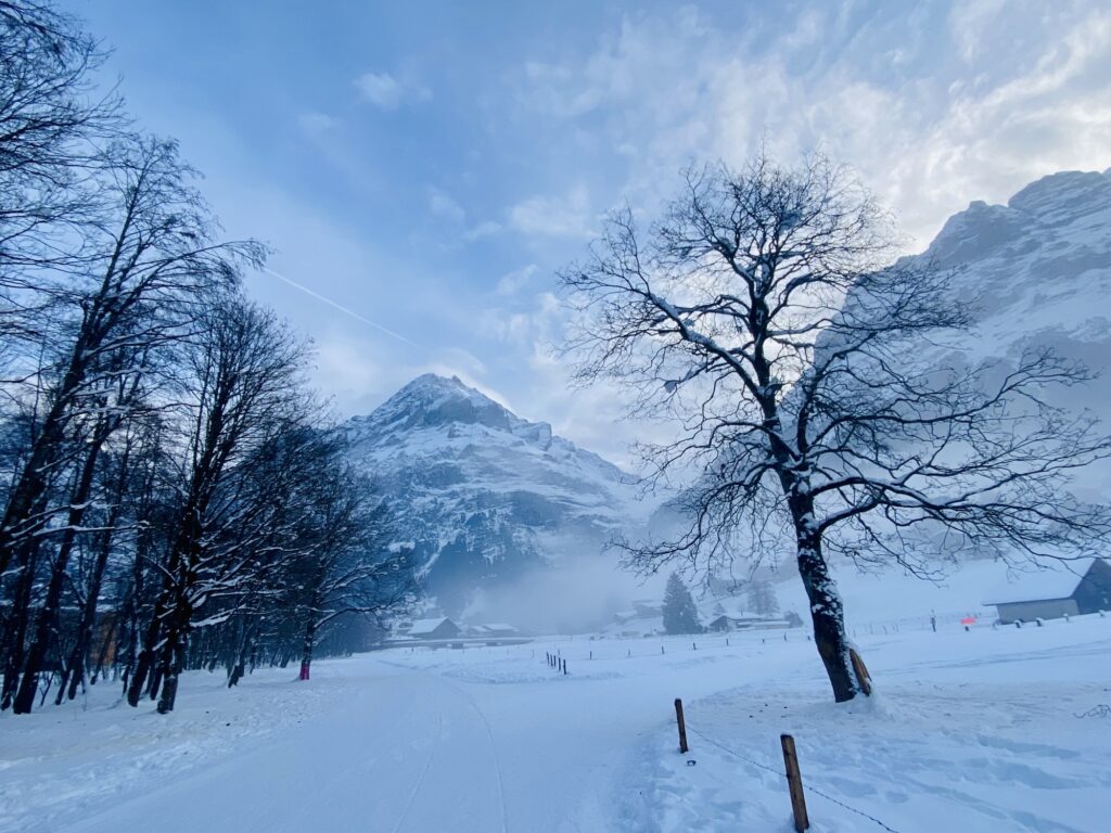 กรินเดลวัลด์, Grindelwald, สวิตเซอร์แลนด์