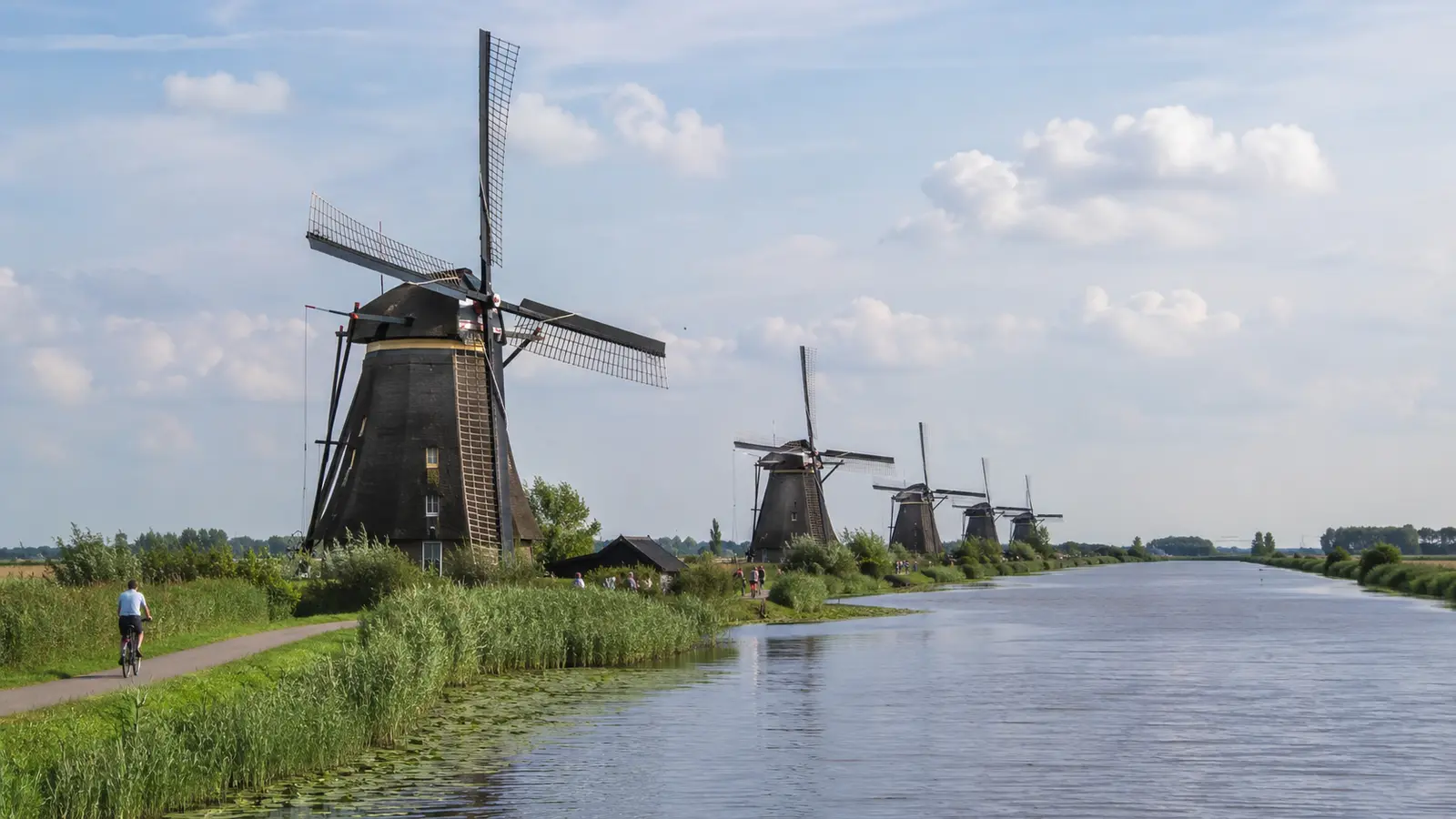 กังหันลมโบราณเรียงตามคลองและทุ่งลุ่มที่ Kinderdijk ใกล้รอตเตอร์ดัม
