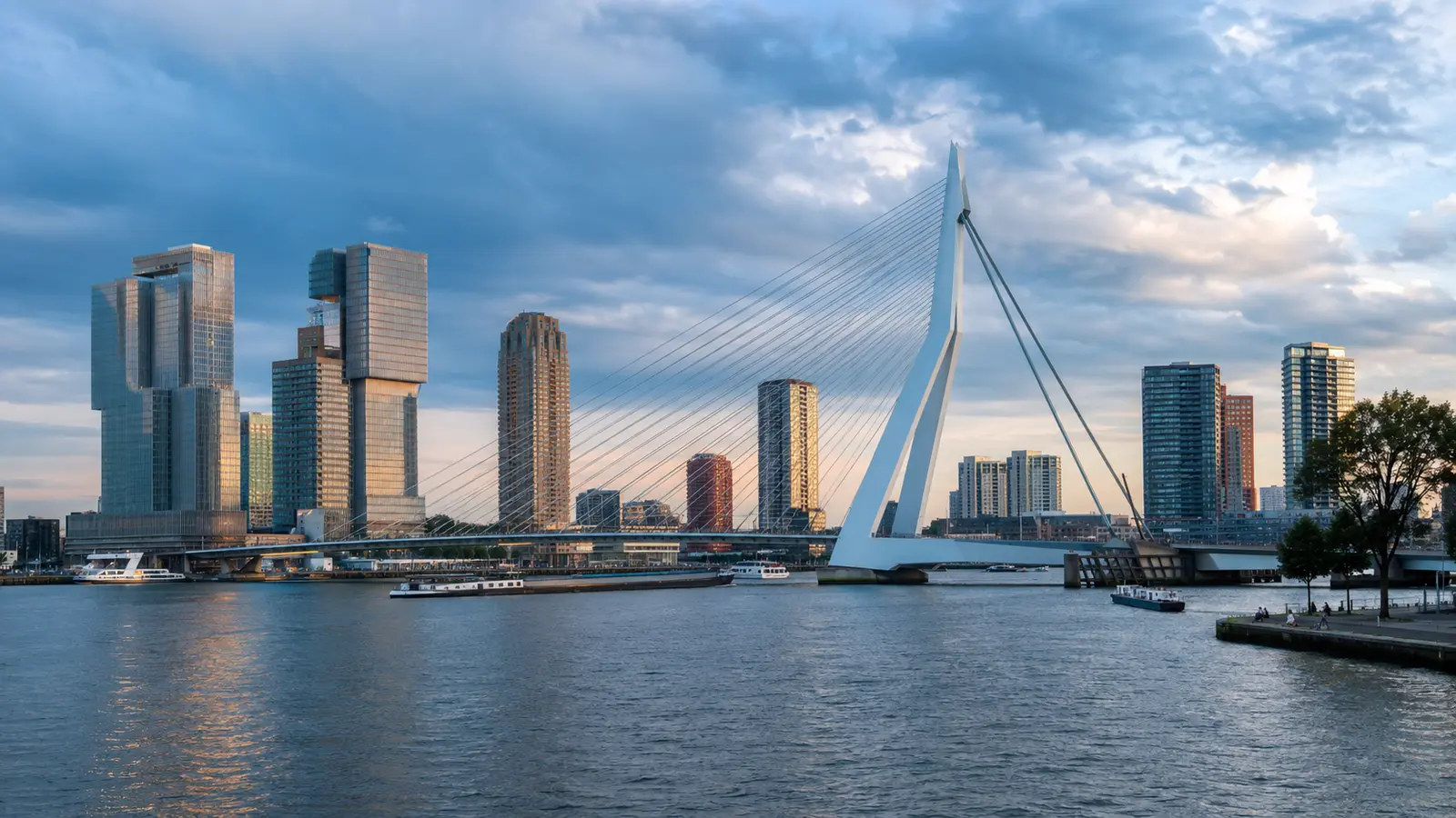 สะพาน Erasmus Bridge เหนือแม่น้ำ Nieuwe Maas และเส้นขอบฟ้า Wilhelminapier เมืองรอตเตอร์ดัม